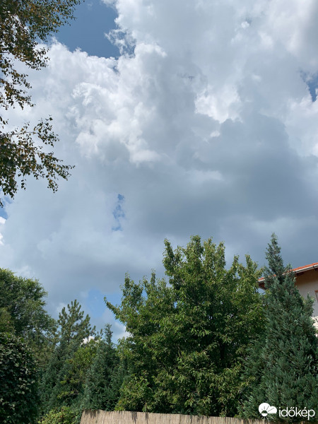 Észlelési fényképek