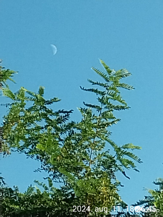 Észlelési fényképek