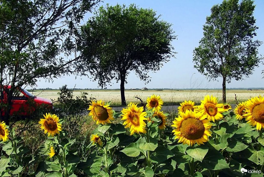 vargalena fotója
