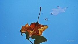Tatabánya 
