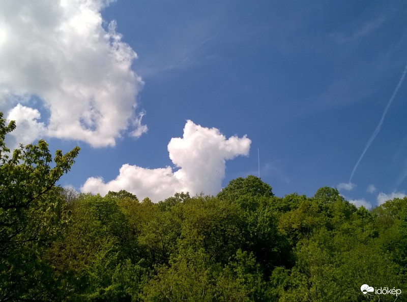 Felhőkutya