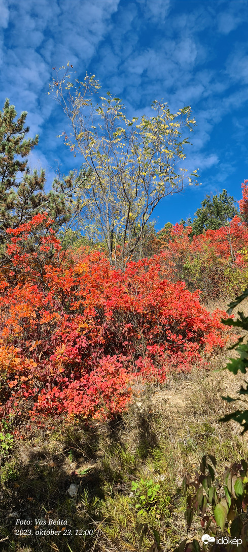 Észlelési fényképek