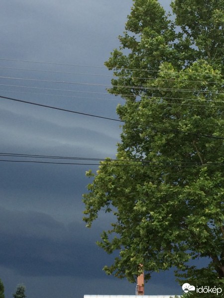 Észlelési fényképek