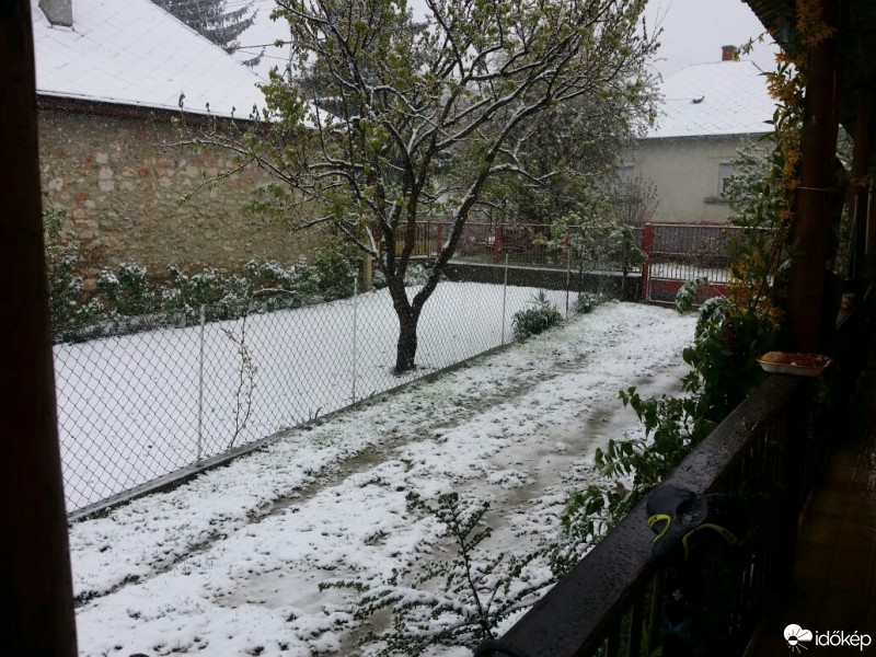 Észlelési fényképek