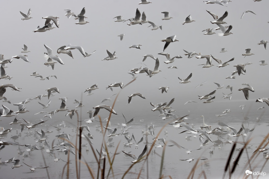 Elkelne egy légiforgalom irányító...