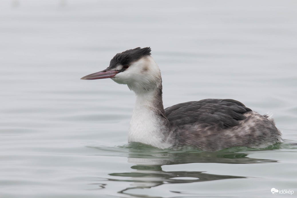 Felvettem a téli tollkabátot... -- 