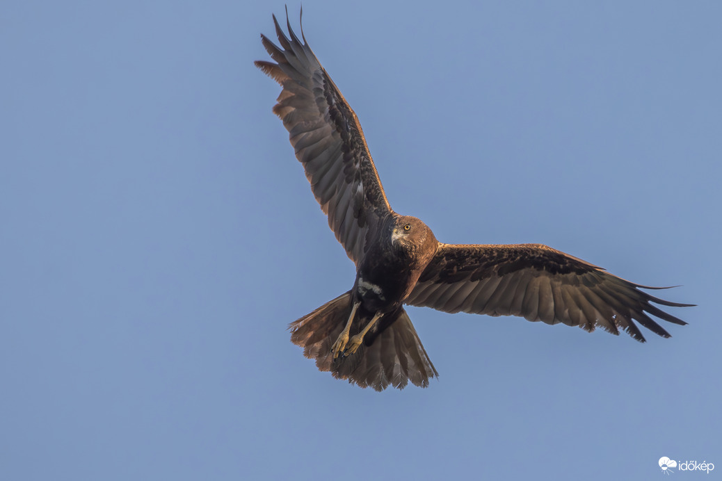 Pásztázó repülés... -- 