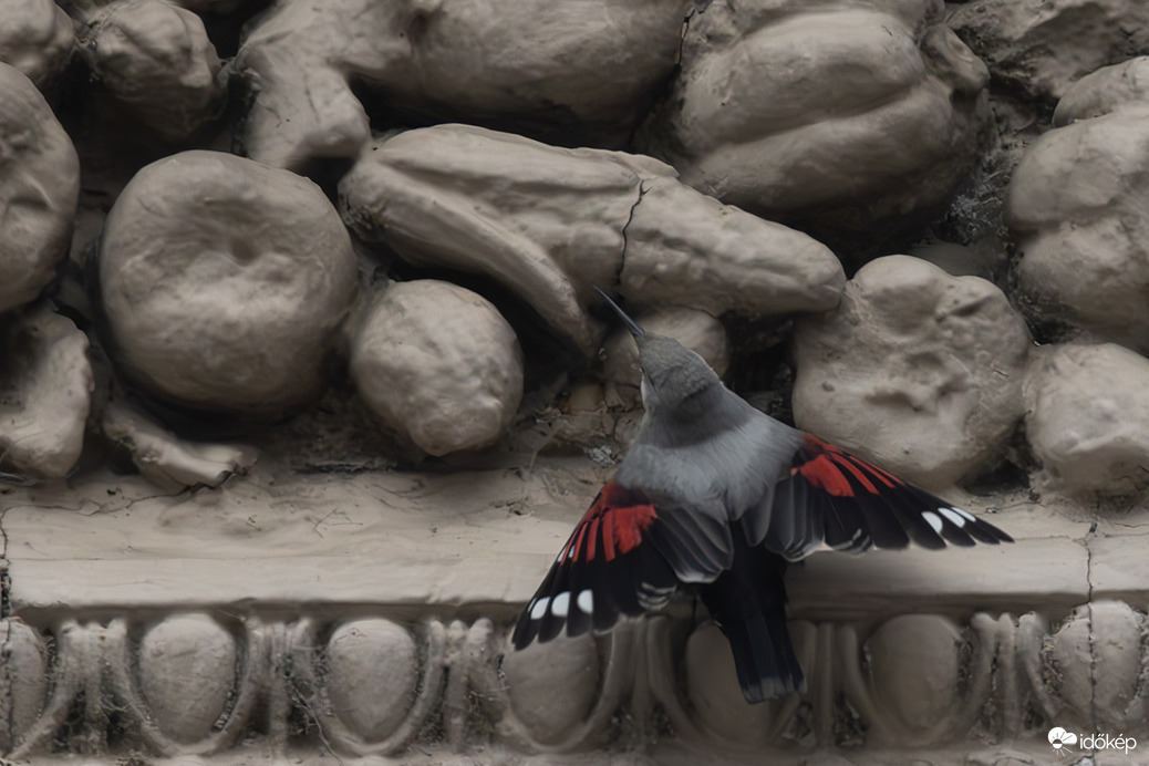 Vadászrepülő... -- 