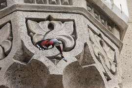 Átrepülés a téren... -- 