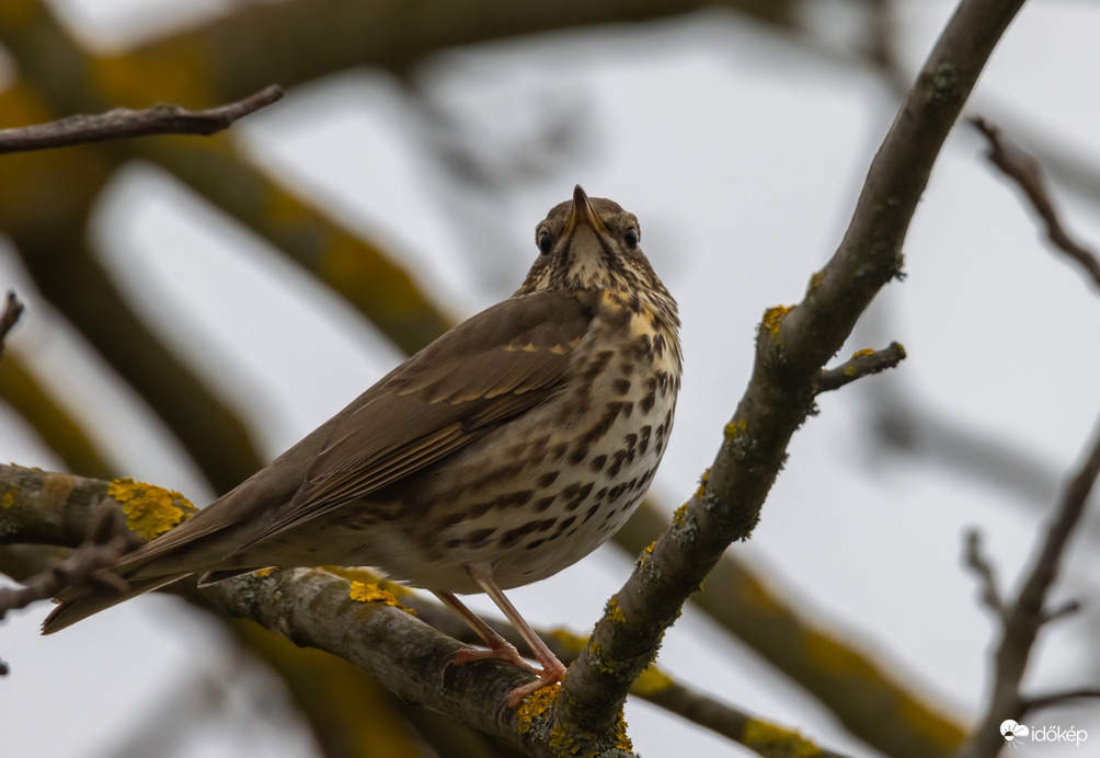Most mindenki jól figyeljen!