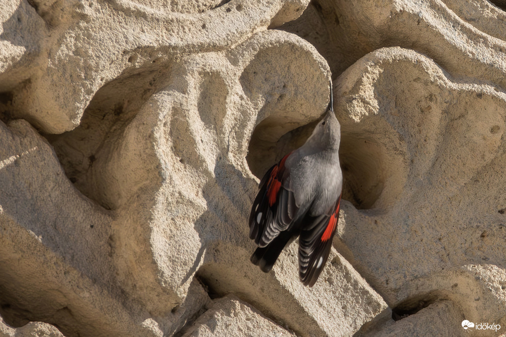 Helyzetjelentés a Vigadóról... Még itt vagyok ám!