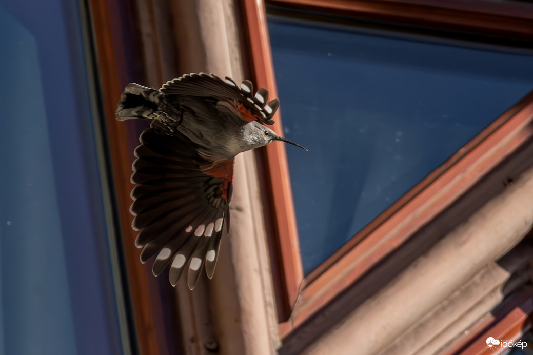 Ablak előtt suhanó -- 