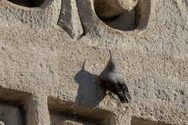 Az árnyékom és én... -- 