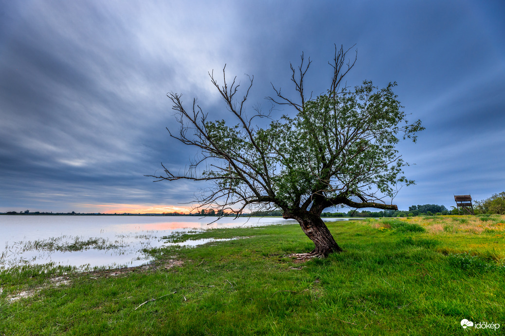 Borongós alkony