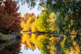 Reggel a Holt-Marosnál