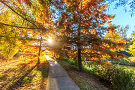 Reggel a Holt-Marosnál