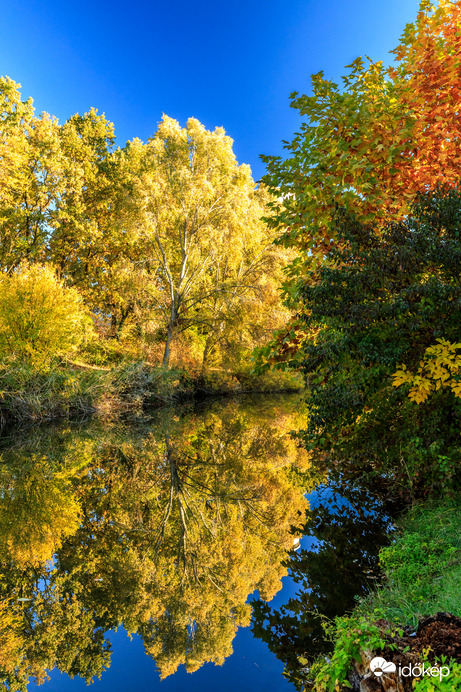 Reggel a Holt-Marosnál
