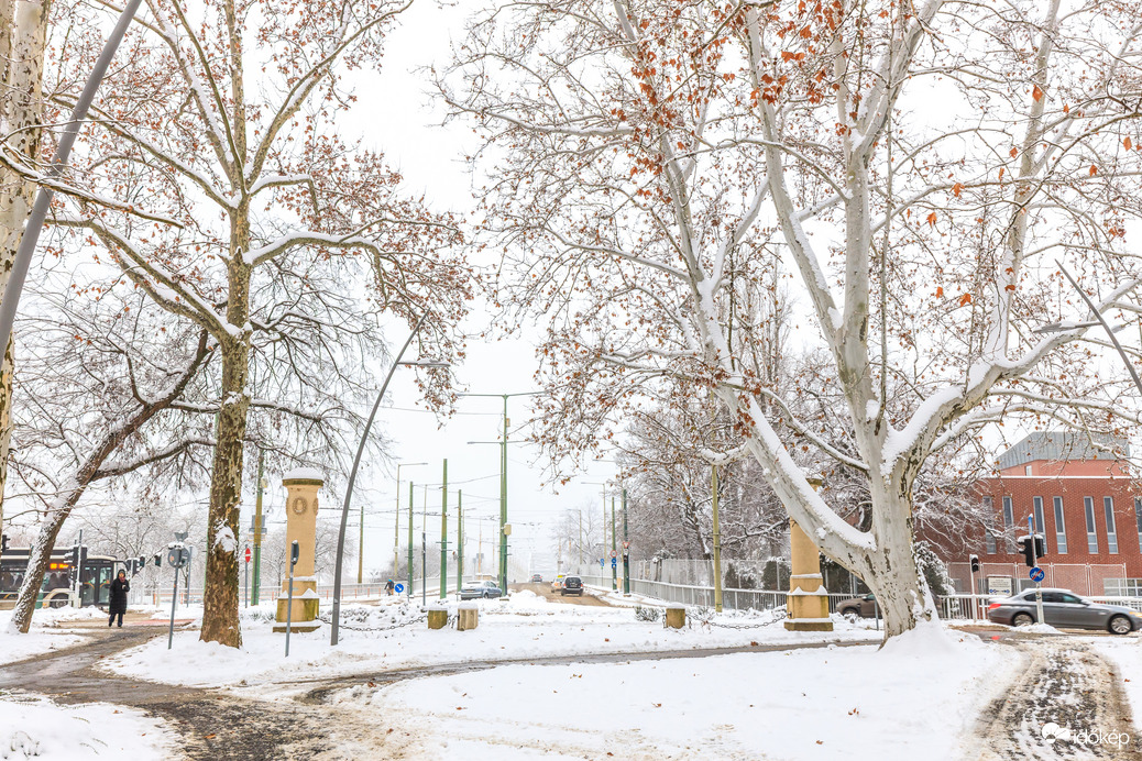 Újszegedi friss hó