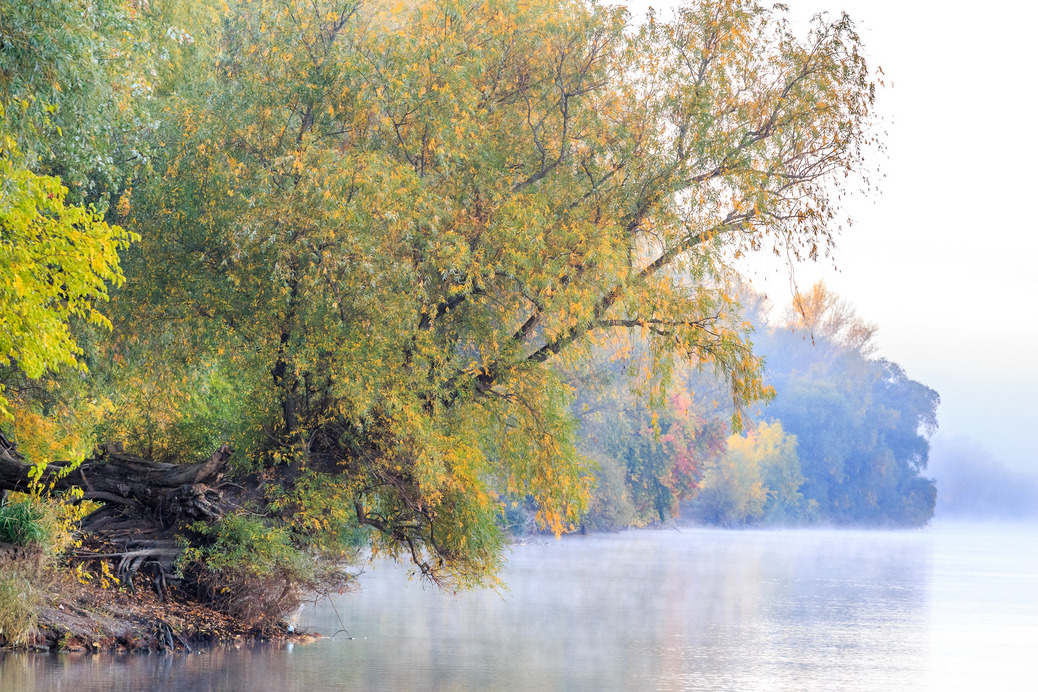 Ősz a Tisza mentén