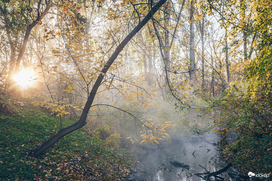 Ősz a Tisza mentén