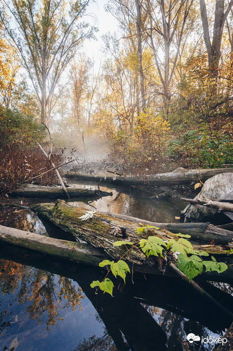 Ősz a Tisza mentén