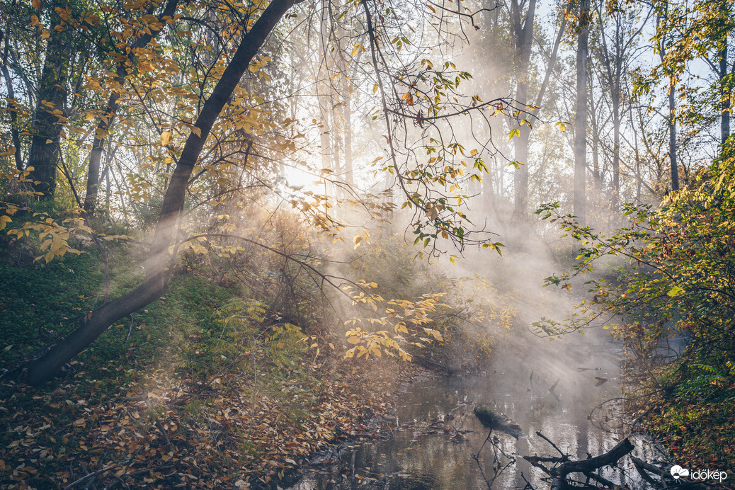 Ősz a Tisza mentén