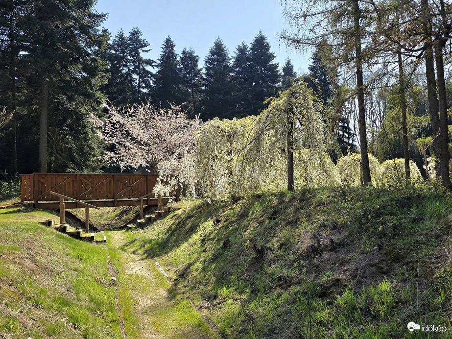 Természet