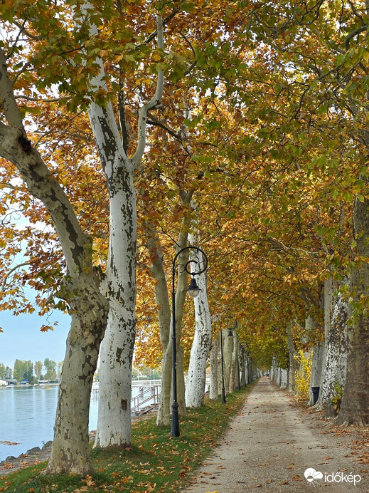 Séta a Kvassay sétányon