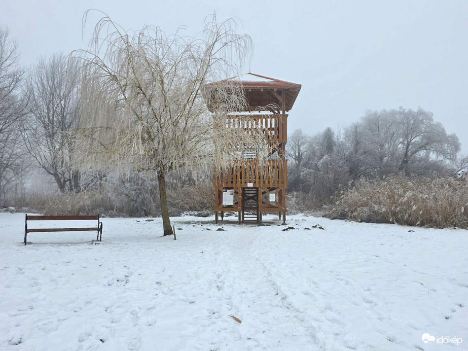 Zúzmarás Csicsergő-sziget