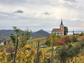 Ősz a Szent György hegyen