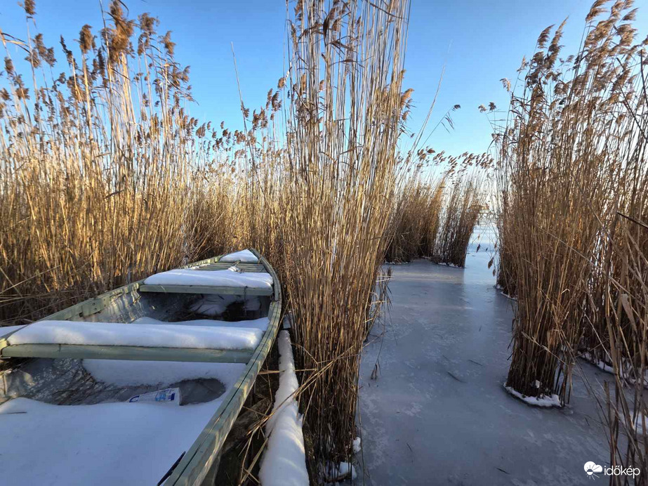 Bújócska a nádasban