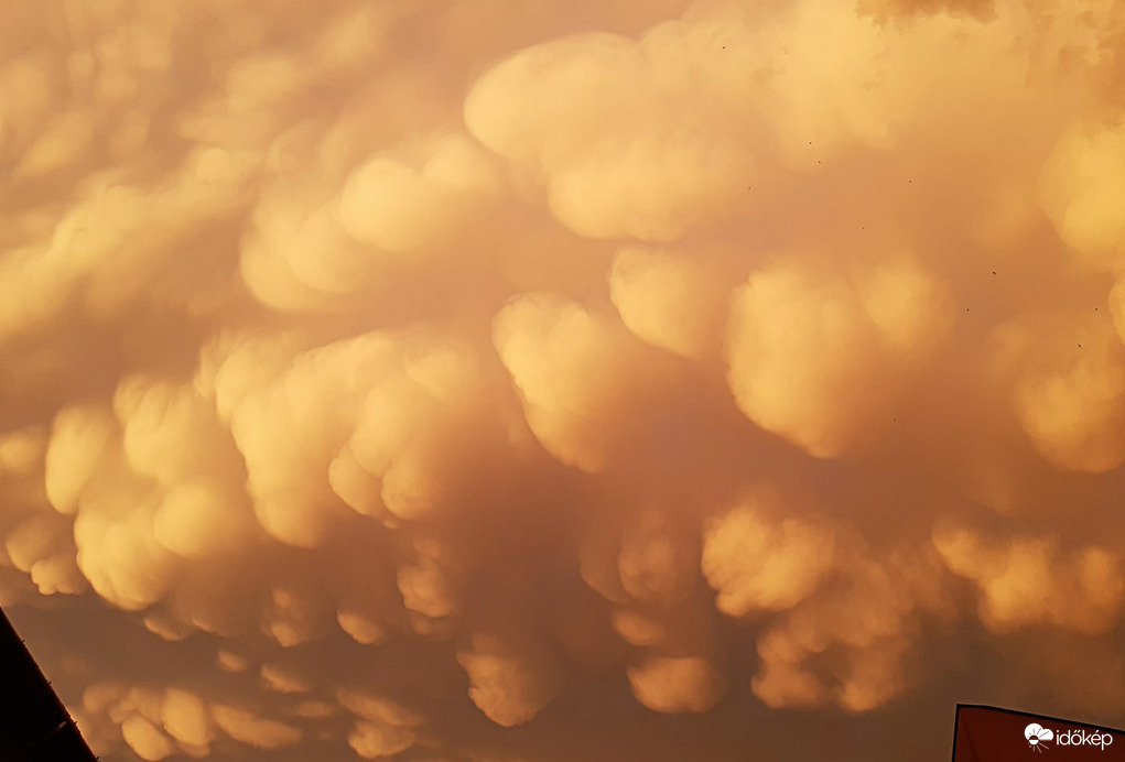 Mammatus