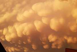 Mammatus