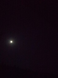 Martfű