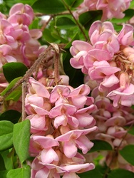 Színárnylatok1.