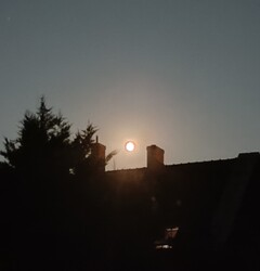 Csütörtök este fotóztam