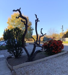 "Levetette szép ruháit...."