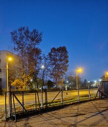 Kakukktojás a lámpasorban...