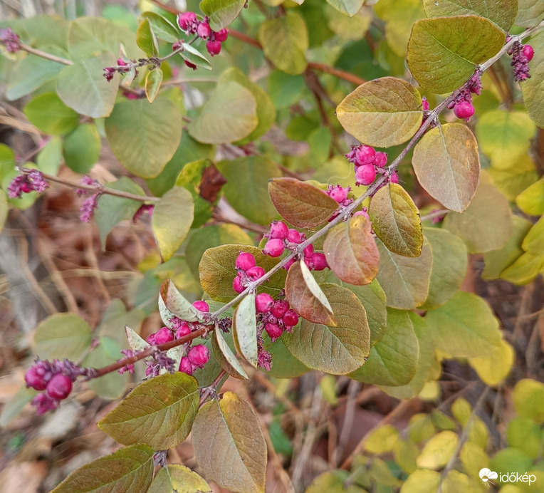 Szép színek ősz végén