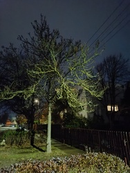 Fények,árnyak játéka