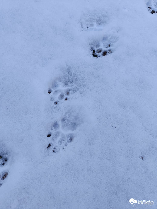 Leesett az első hó Kecskeméten!!