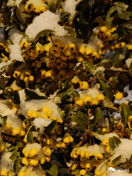 Van a madaraknak eleség bőven!