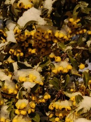 Van a madaraknak eleség bőven!