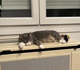 Hideg és sötét a november...