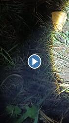 Ködszitálás "élőben"