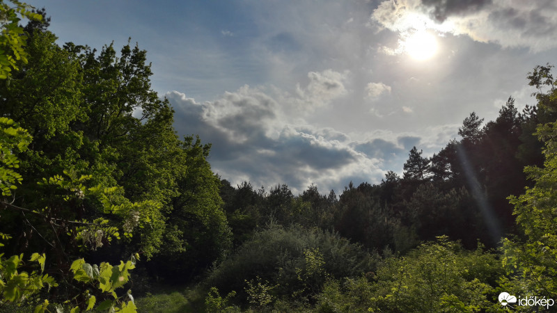 Észlelési fényképek