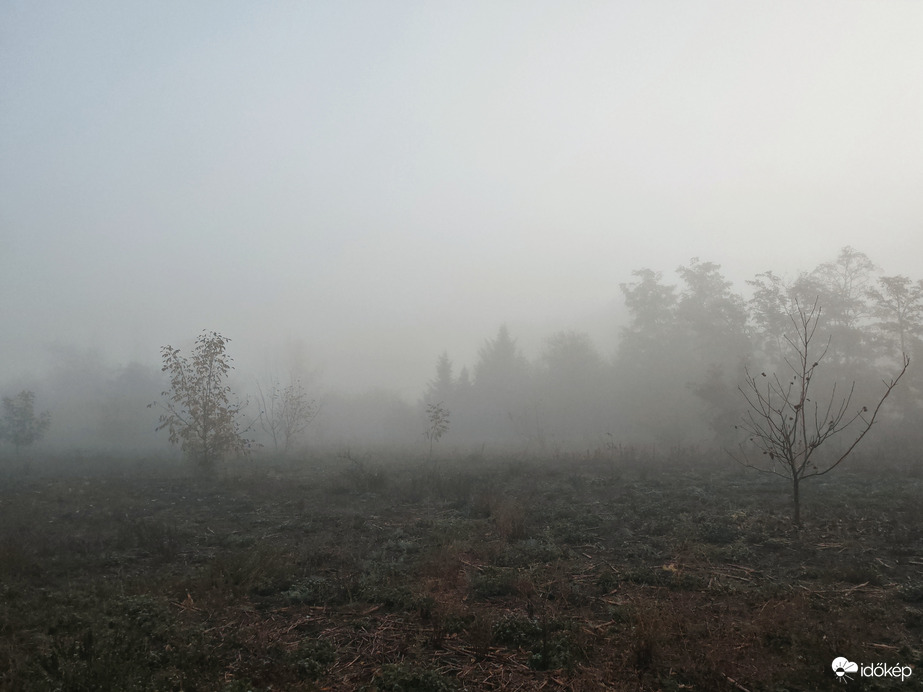 Esti zivatar után őszi köd