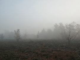 Esti zivatar után őszi köd