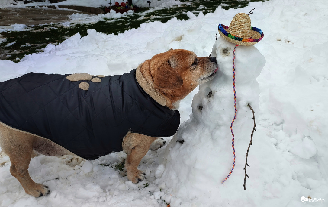 Ízletes volt az orrod, már nincs több?
