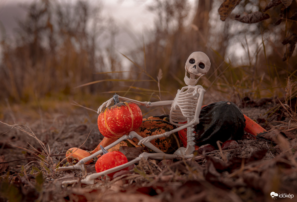 Aki örül, hogy melegszik az idő 